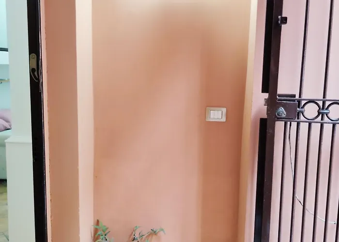 Maya's 3